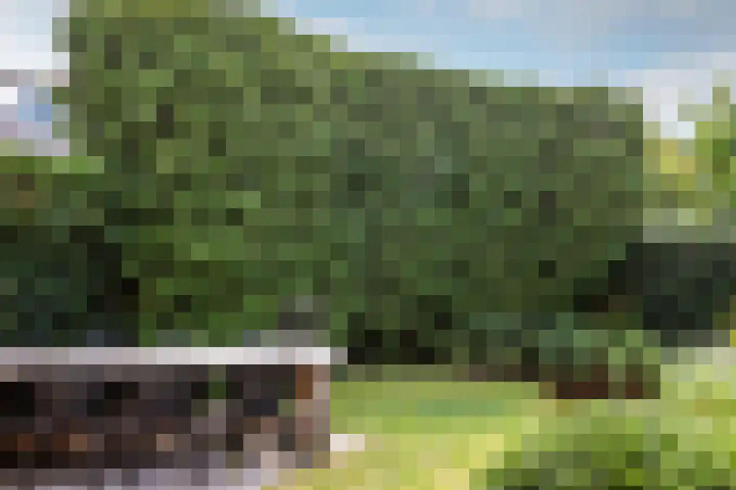 Bennebroekerdreef 33 Bennebroek thumbnail 43
