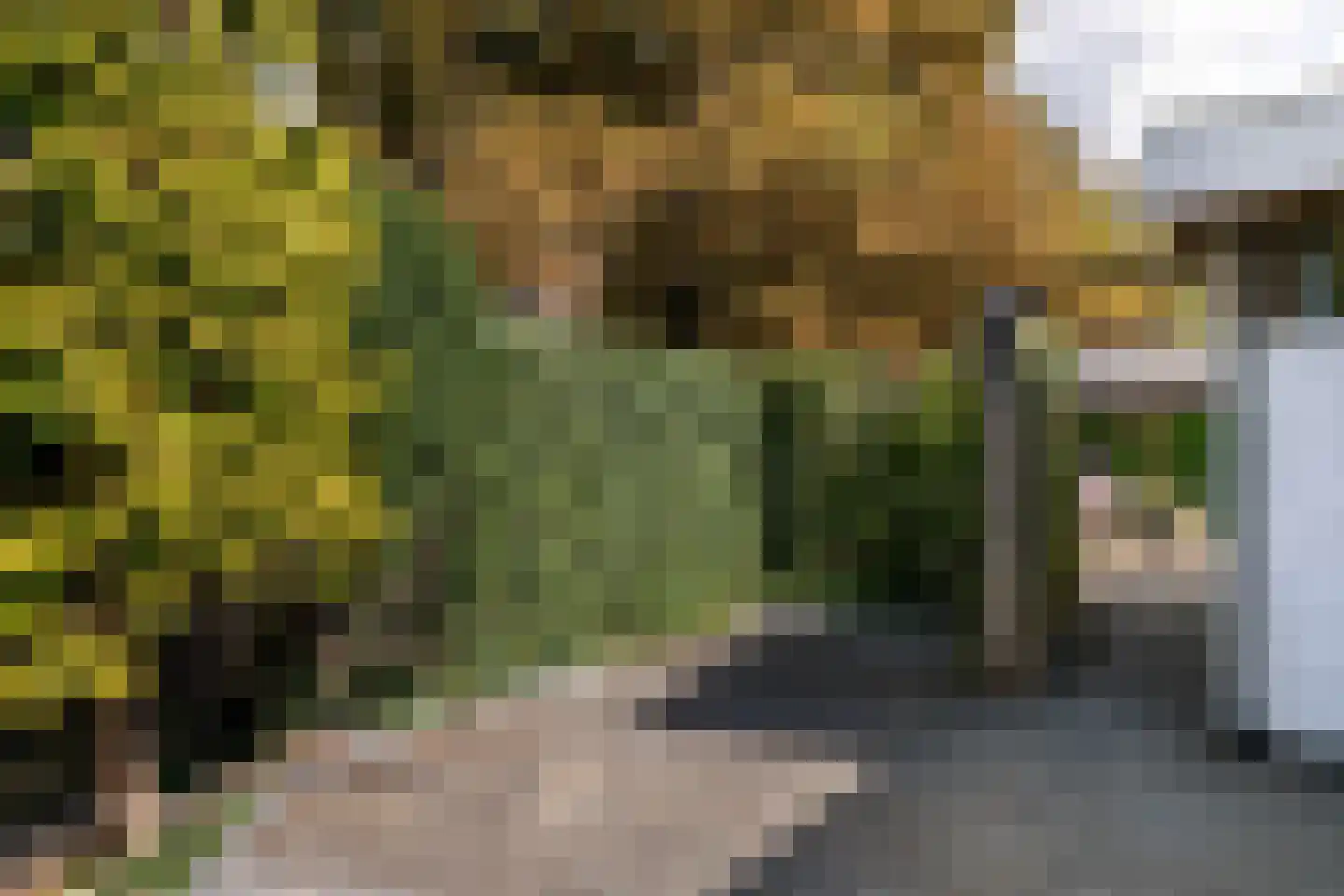 Bennebroekerdreef 33 Bennebroek thumbnail 45