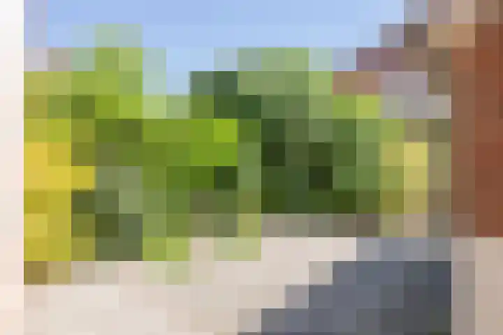 Bennebroekerdreef 37 Bennebroek thumbnail 18