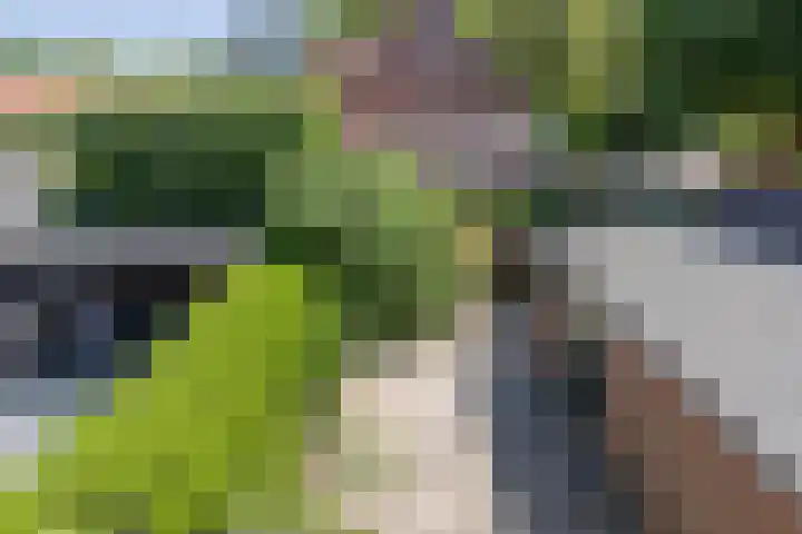 Bennebroekerdreef 37 Bennebroek thumbnail 20