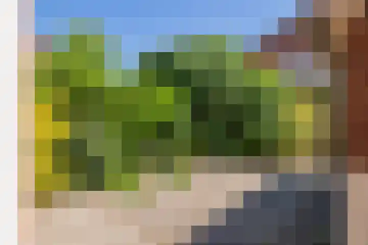 Bennebroekerdreef 37 Bennebroek thumbnail 22