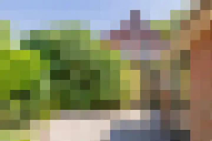 Bennebroekerdreef 37 Bennebroek thumbnail 24