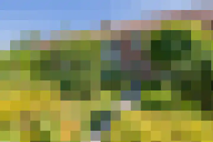 Bennebroekerdreef 37 Bennebroek thumbnail 46