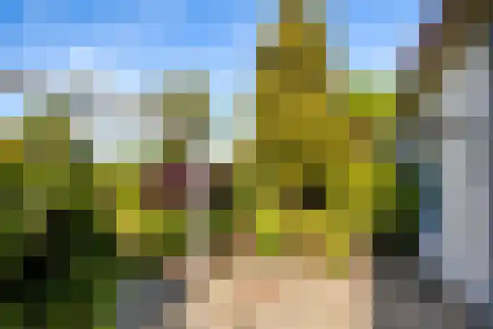 Bennebroekerweg 111 Rijsenhout thumbnail 11