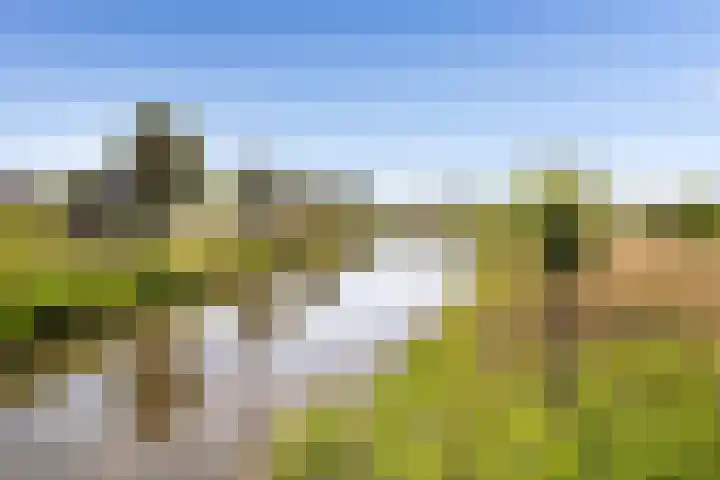 Bennebroekerweg 111 Rijsenhout thumbnail 6