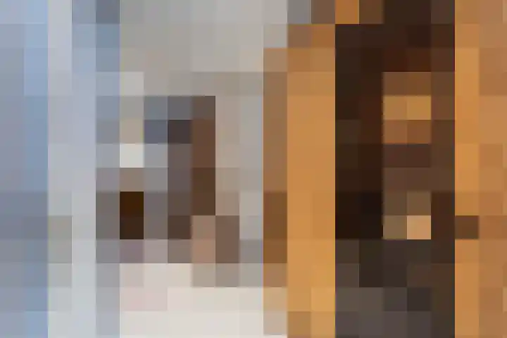 Bennebroekstraat 10 1 Amsterdam thumbnail 20