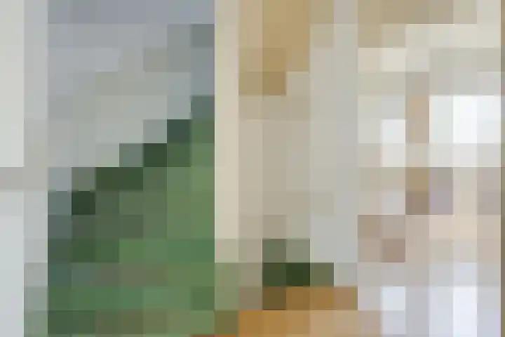 Bennebroekstraat 22 Zaandam thumbnail 35