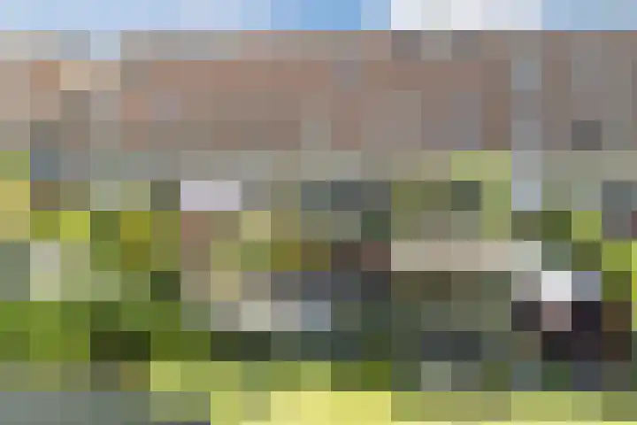 Bennebroekstraat 22 Zaandam thumbnail 55