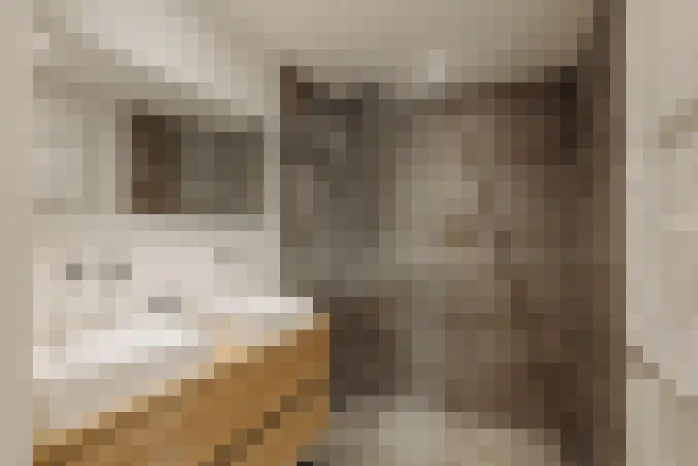 Bennebroekstraat 23 1 Amsterdam thumbnail 12