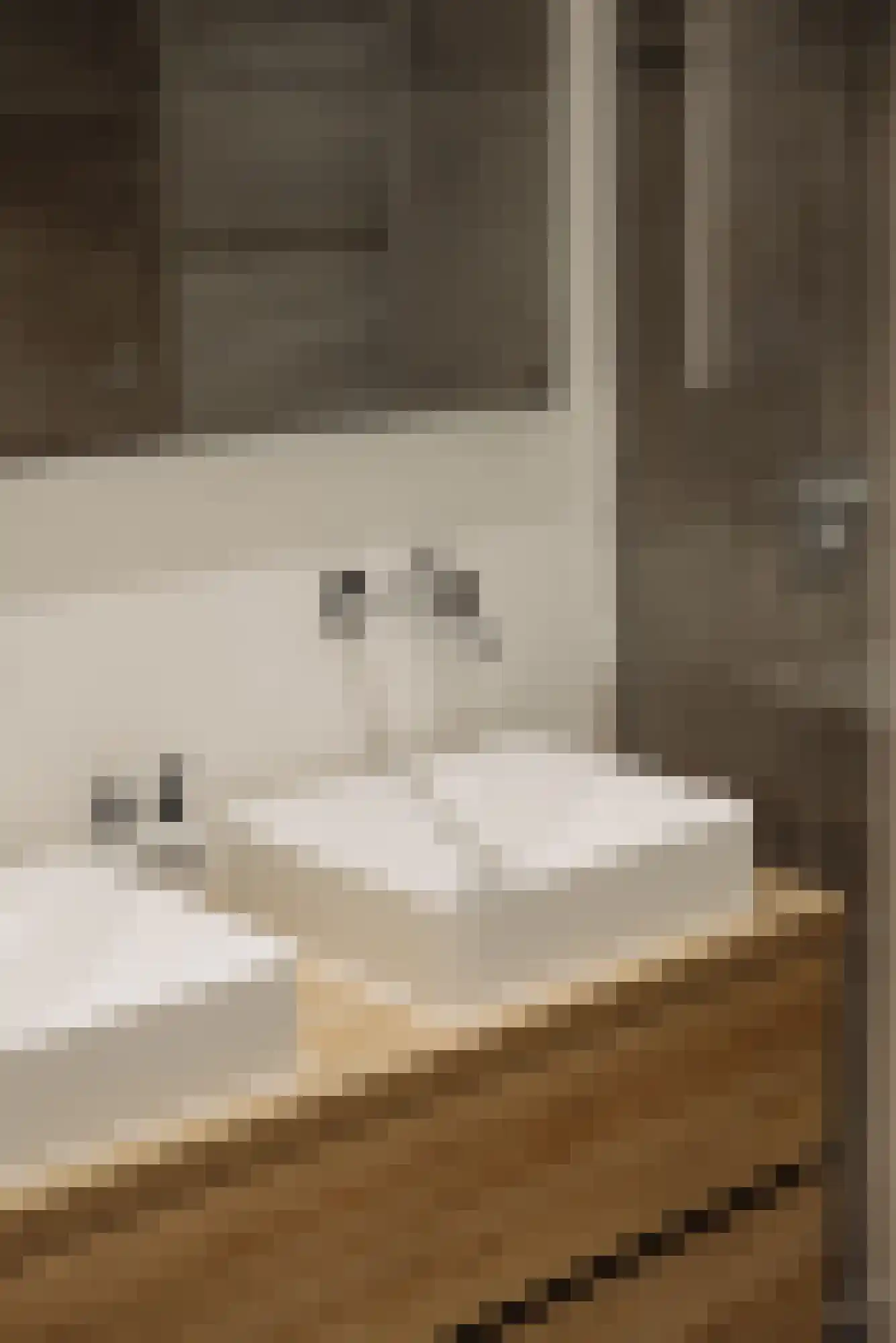 Bennebroekstraat 23 1 Amsterdam thumbnail 13