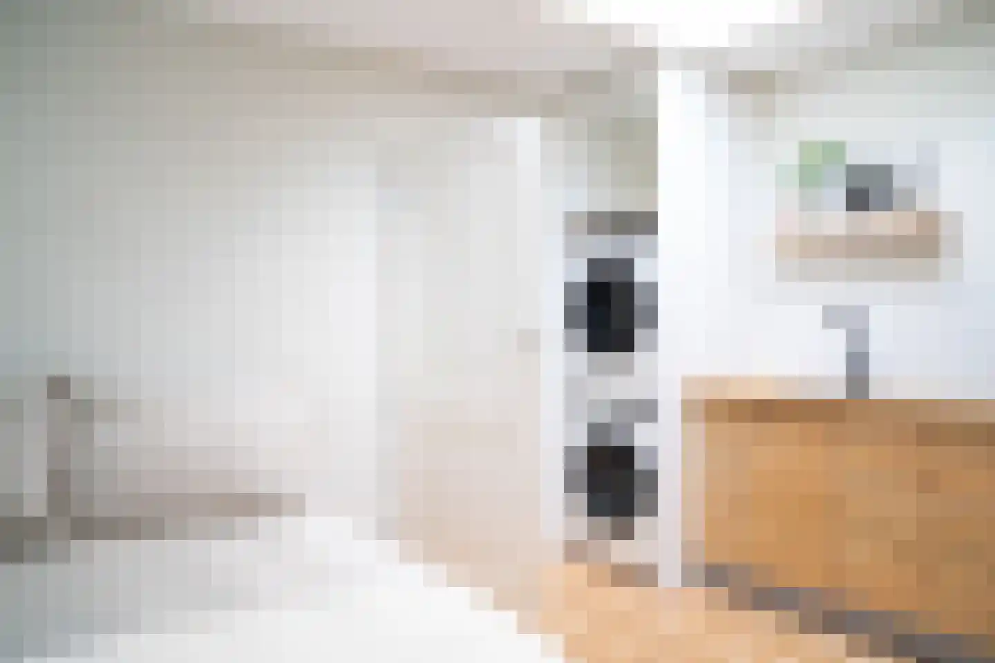 Bennebroekstraat 33 1 Amsterdam thumbnail 26
