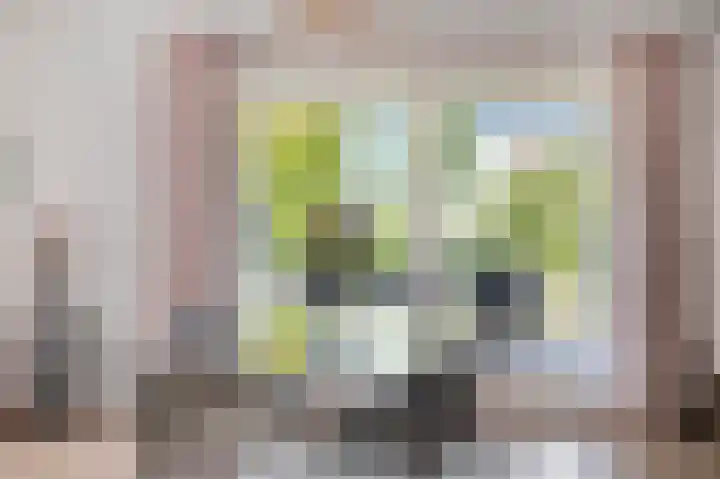 Bennebroekweg 11 Vlodrop thumbnail 13