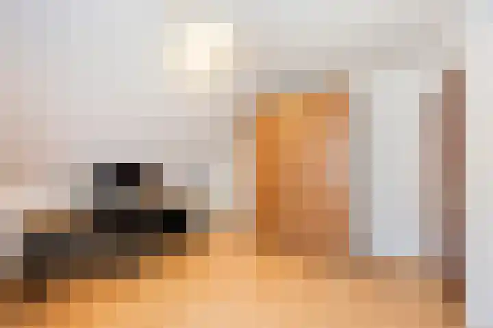Bennebroekweg 11 Vlodrop thumbnail 25