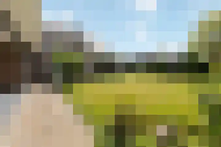 Bennebroekweg 11 Vlodrop thumbnail 42