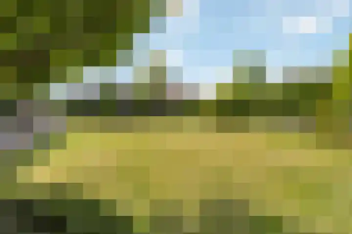 Bennebroekweg 11 Vlodrop thumbnail 44