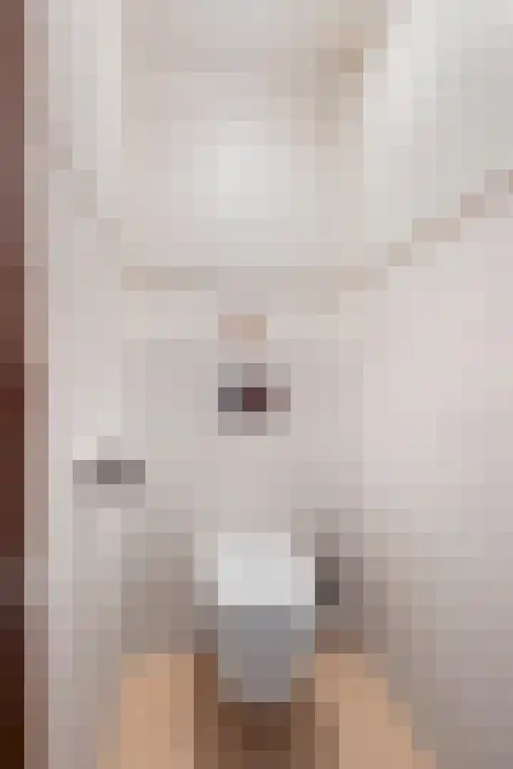 Bennebroekweg 11 Vlodrop thumbnail 6