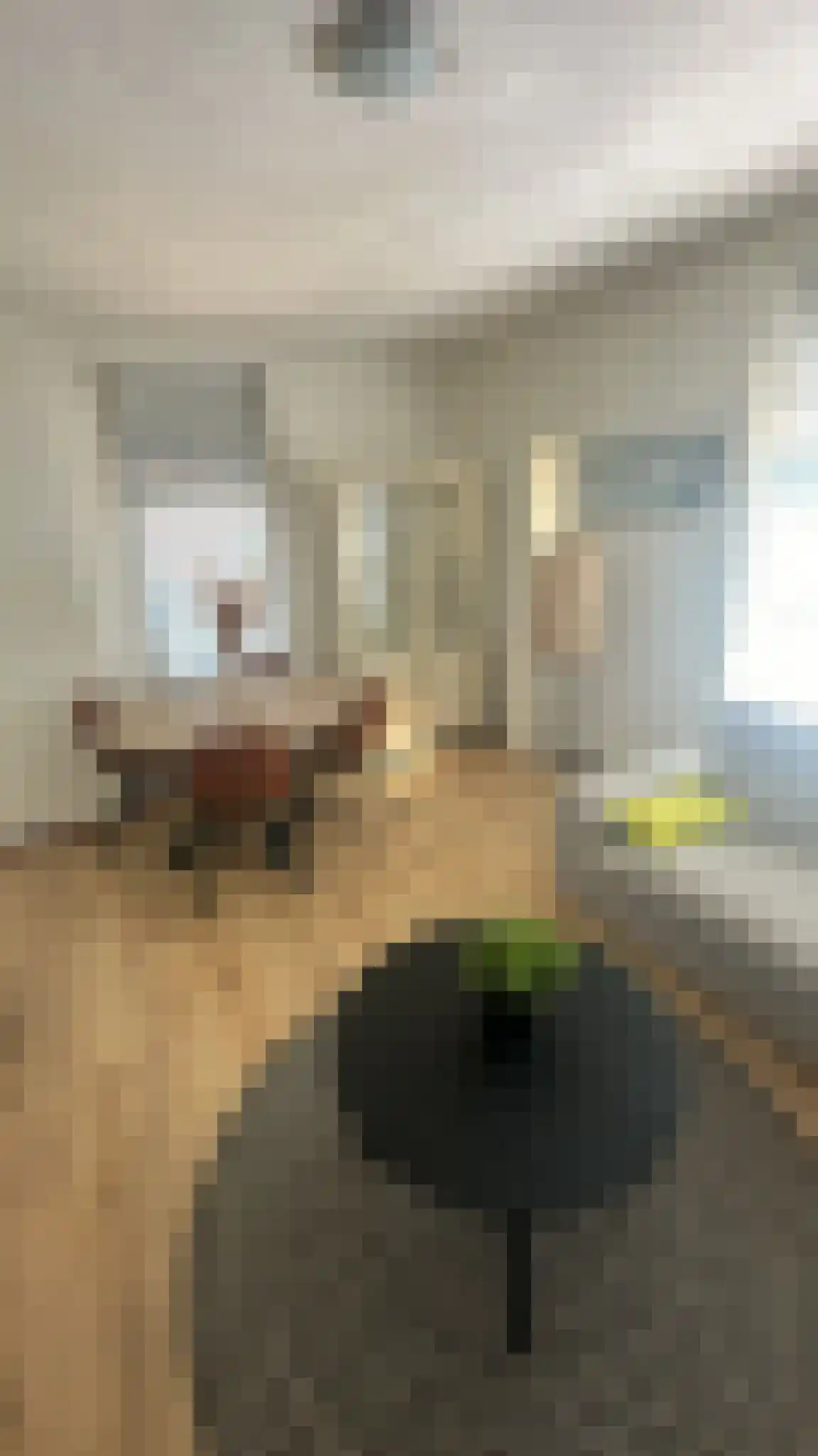 Bennekelstraat 106 Eindhoven thumbnail 4