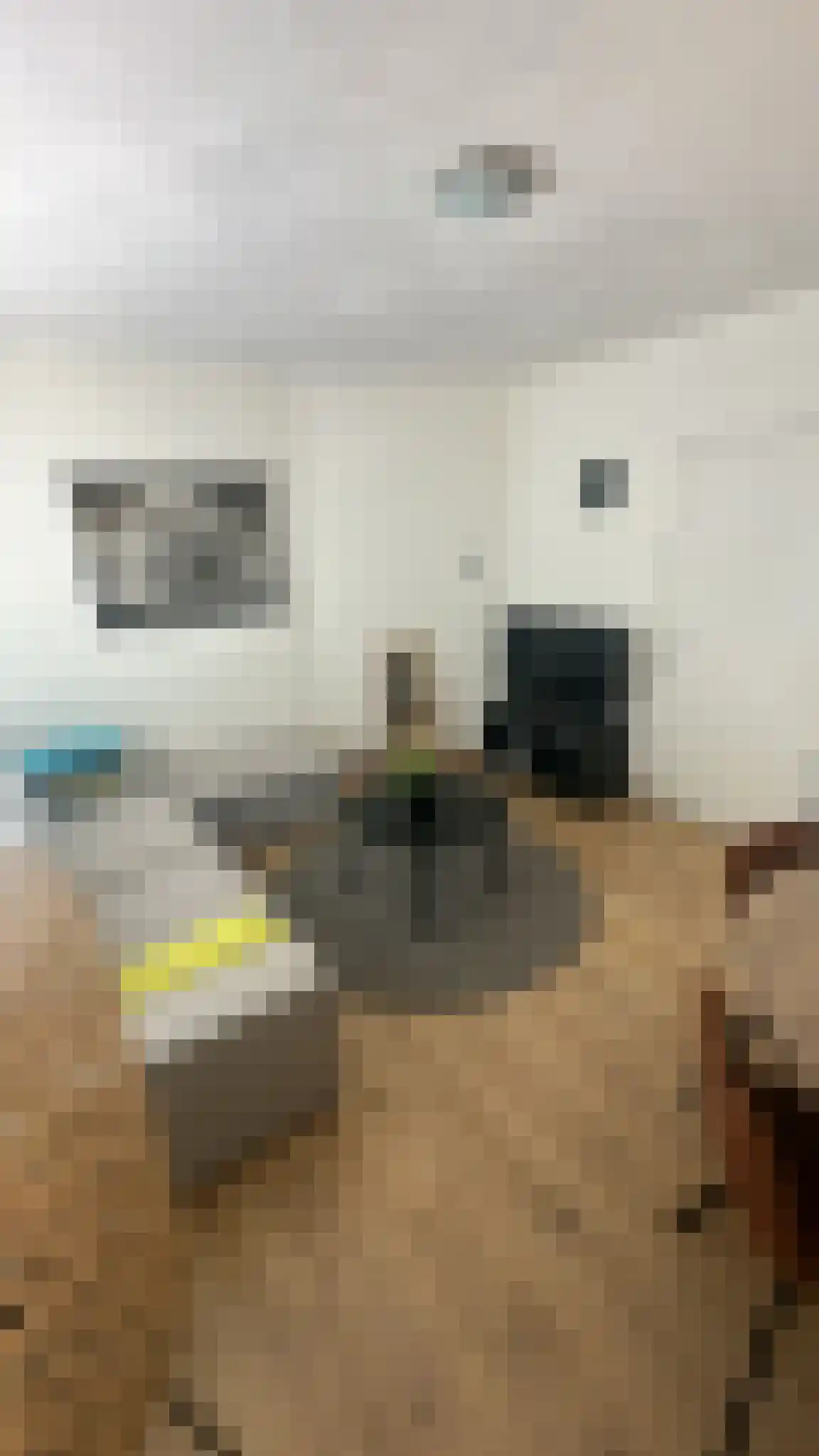 Bennekelstraat 106 Eindhoven thumbnail 6