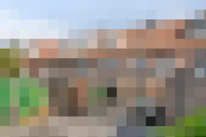 Bennekelstraat 146 Eindhoven thumbnail 25