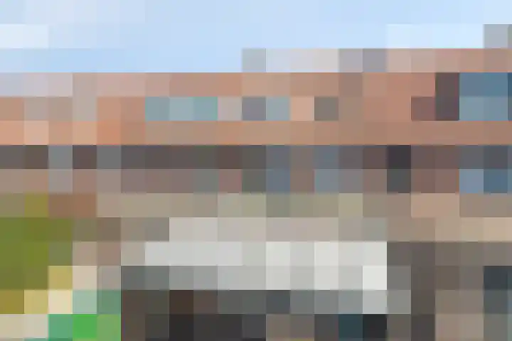 Bennekelstraat 146 Eindhoven thumbnail 27
