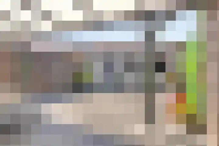 Bennekelstraat 146 Eindhoven thumbnail 4