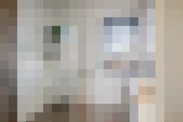 Bennekomseberg 15 Amersfoort thumbnail 20