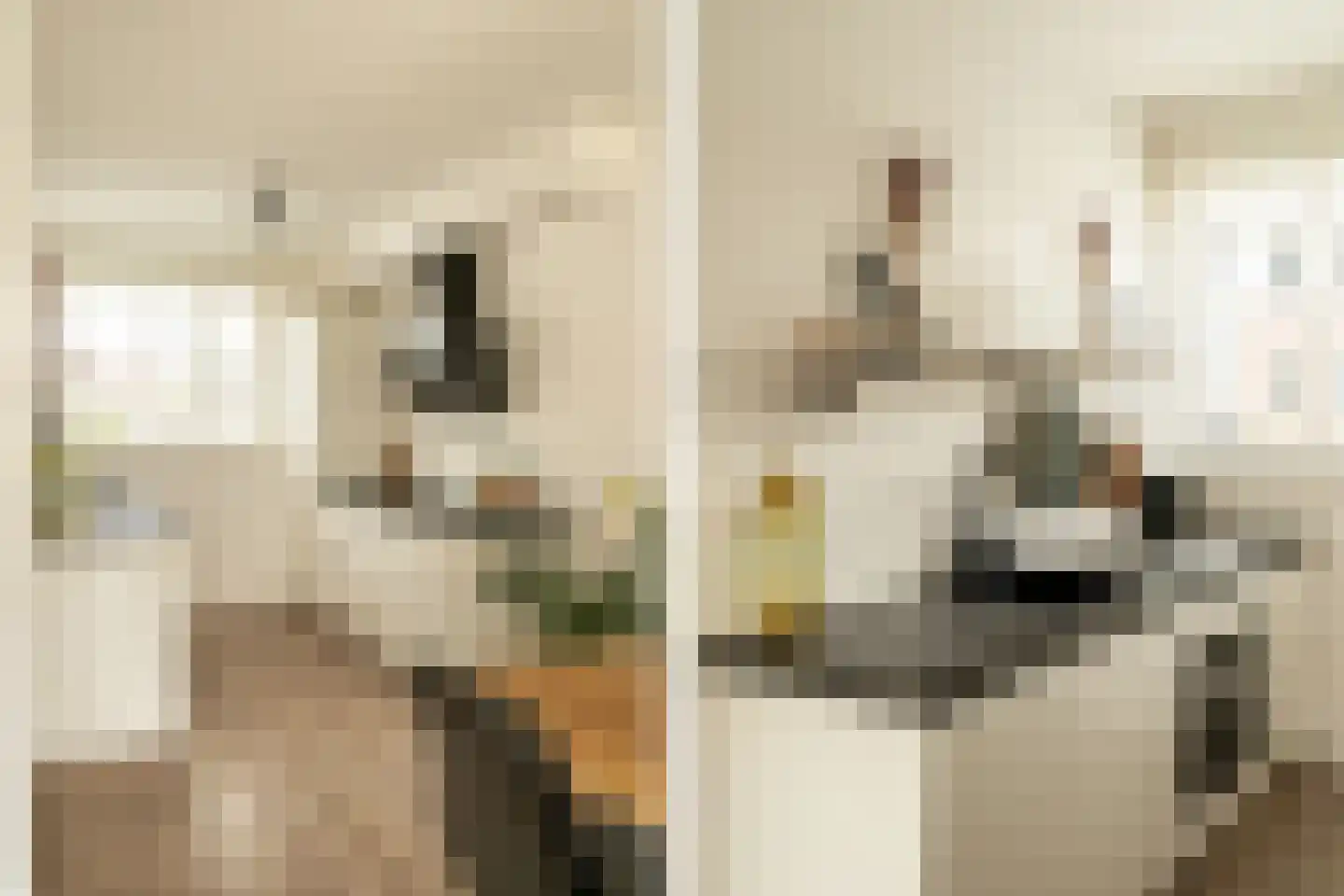 Bennekomseberg 3 Amersfoort thumbnail 10