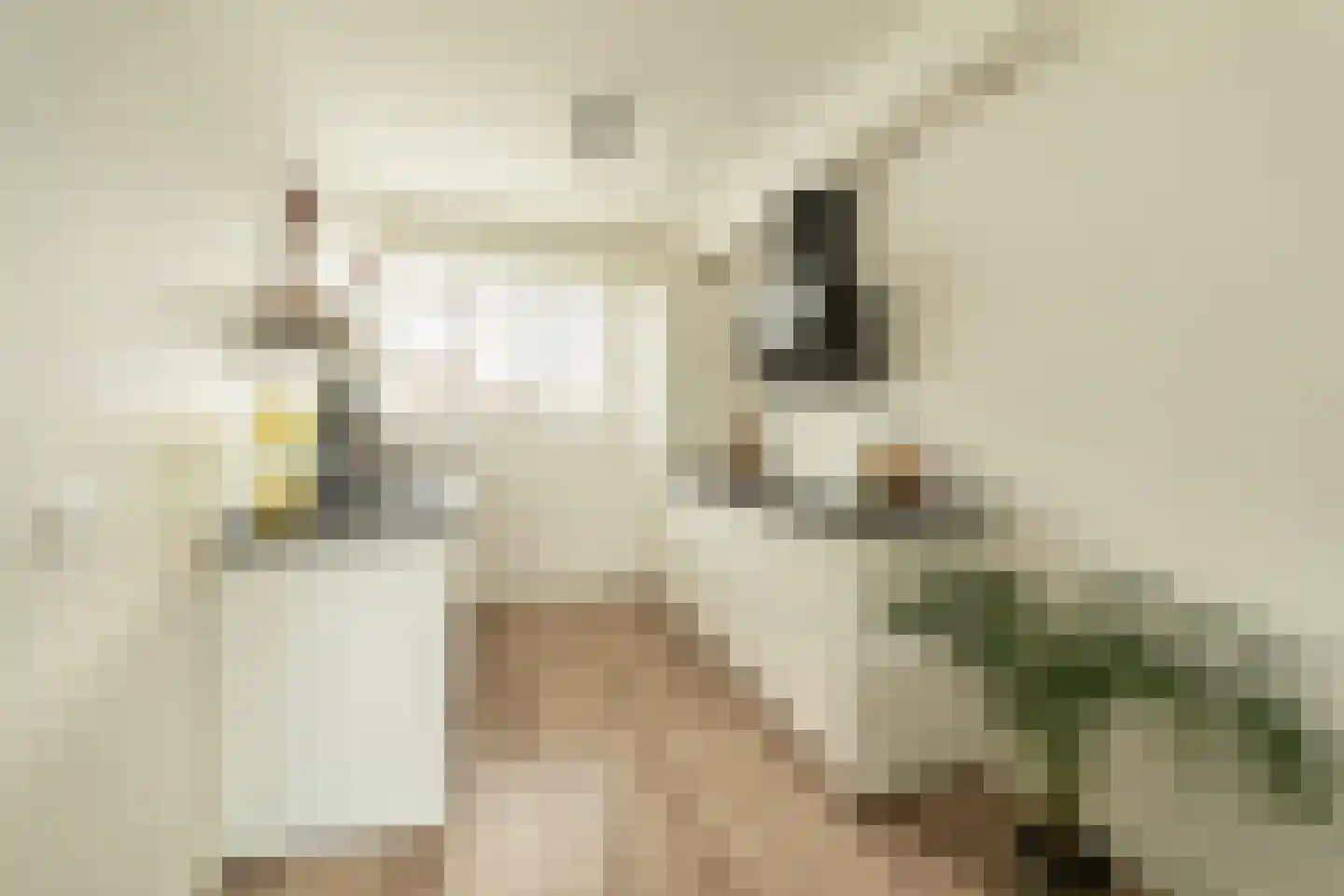 Bennekomseberg 3 Amersfoort thumbnail 11