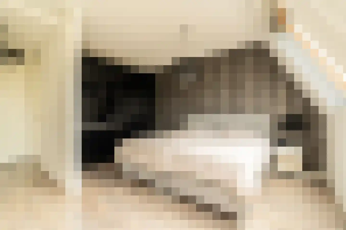 Bennekomseberg 3 Amersfoort thumbnail 17