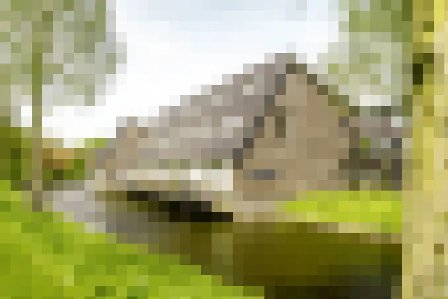 Bennekomseberg 3 Amersfoort thumbnail 28