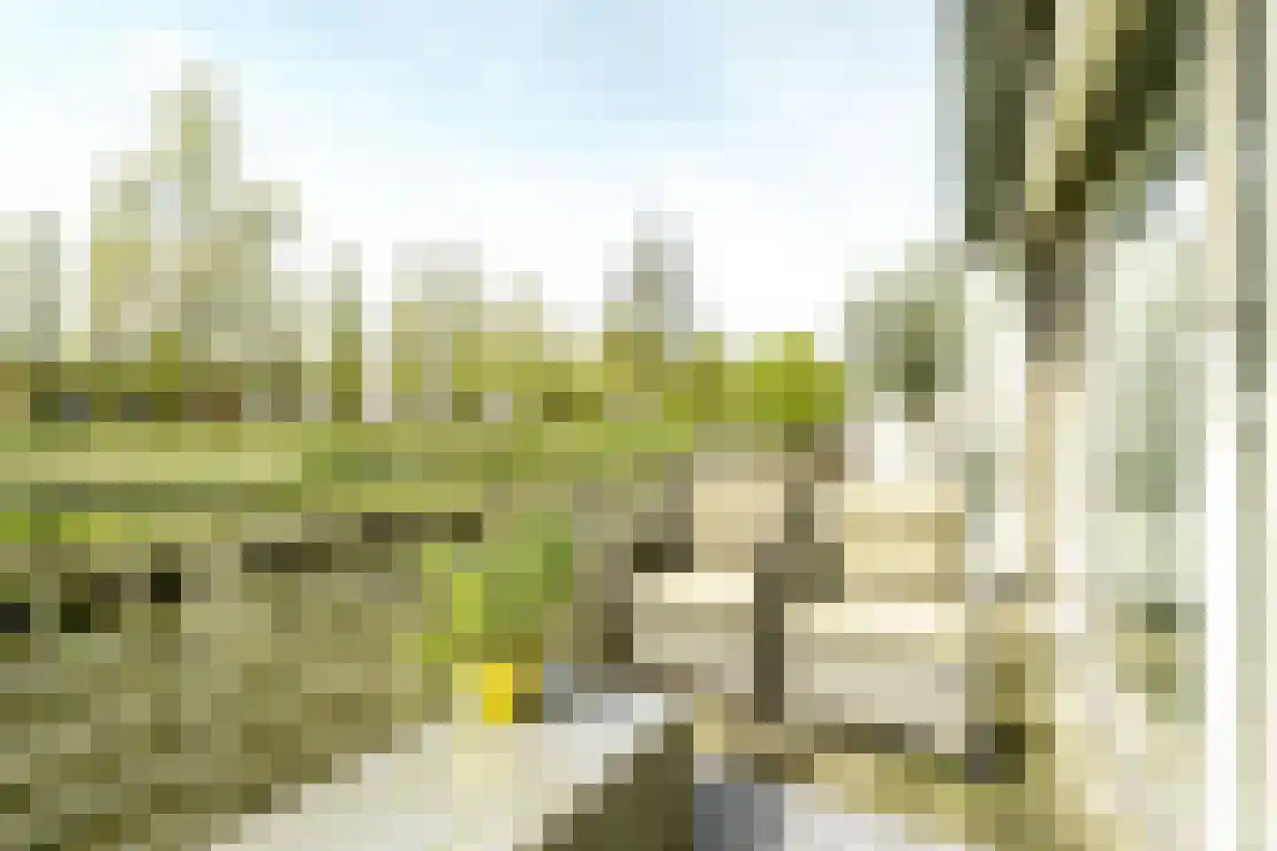 Bennekomseberg 3 Amersfoort thumbnail 30