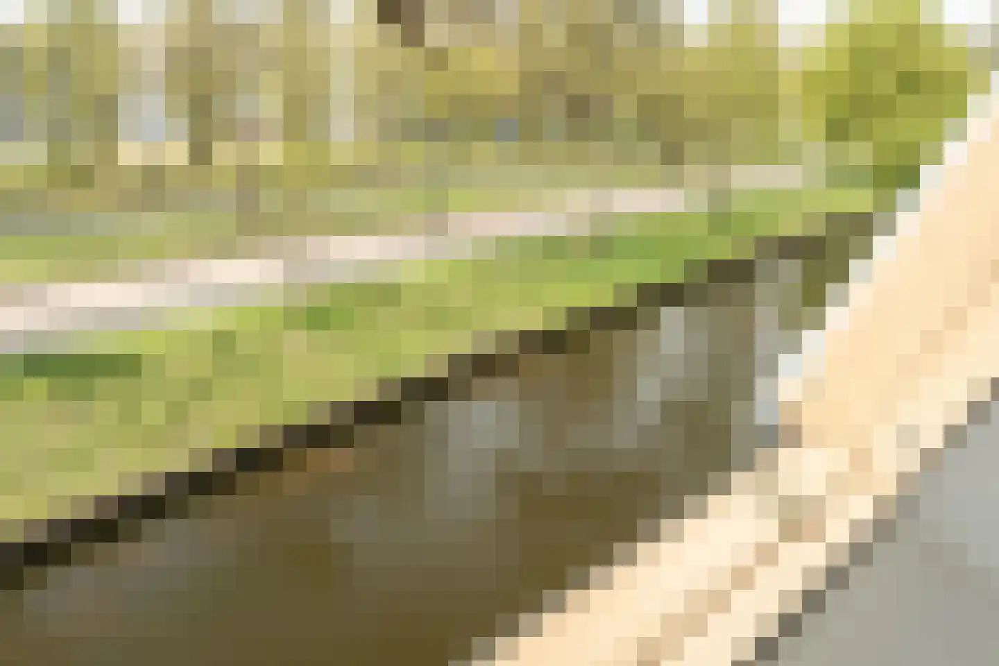 Bennekomseberg 3 Amersfoort thumbnail 32