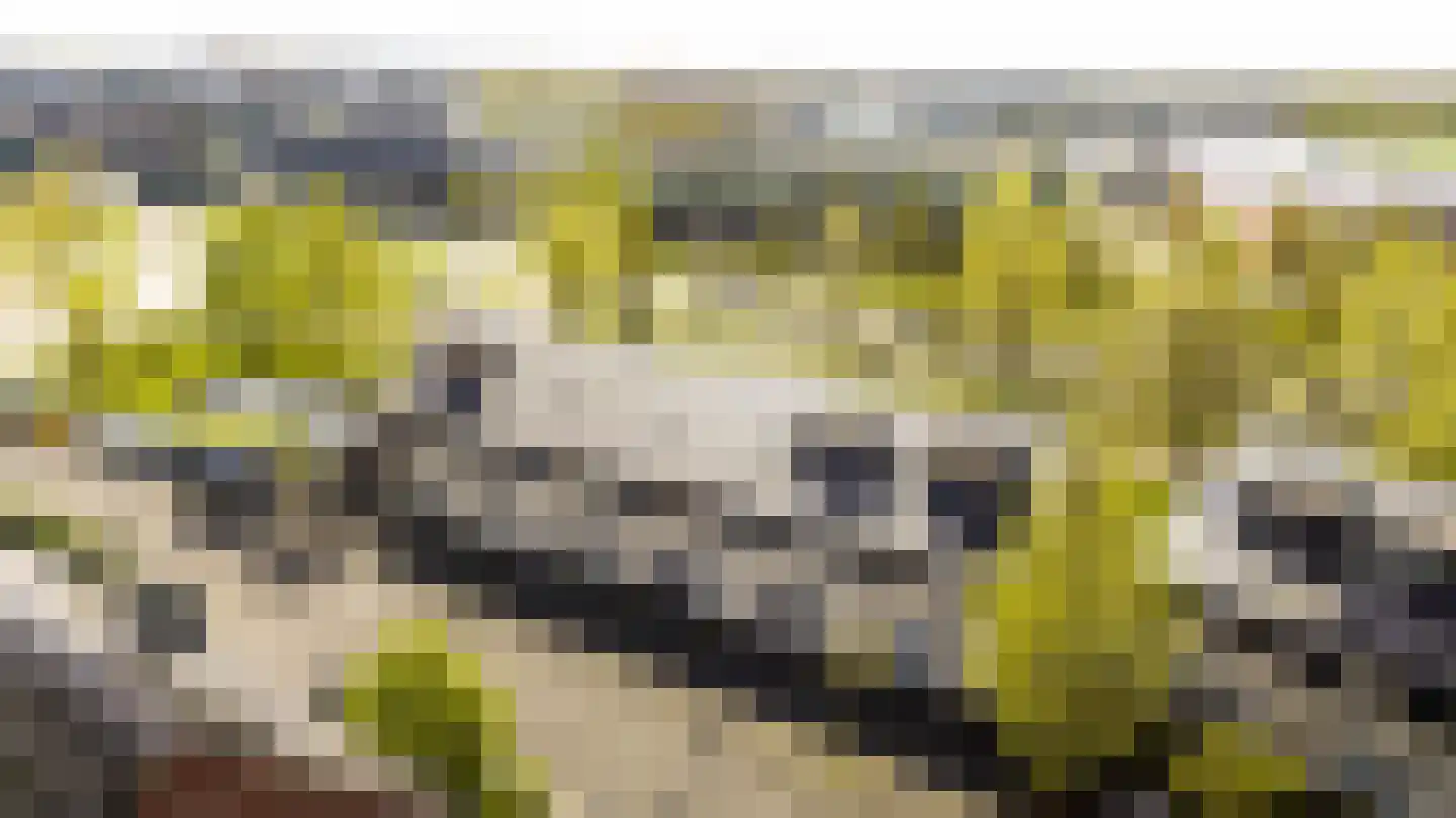 Bennekomseberg 3 Amersfoort thumbnail 33