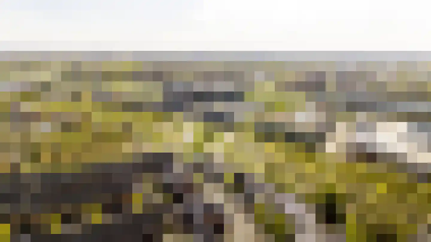 Bennekomseberg 3 Amersfoort thumbnail 34
