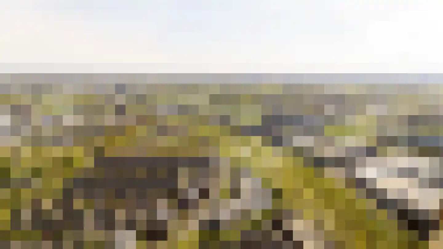 Bennekomseberg 3 Amersfoort thumbnail 35