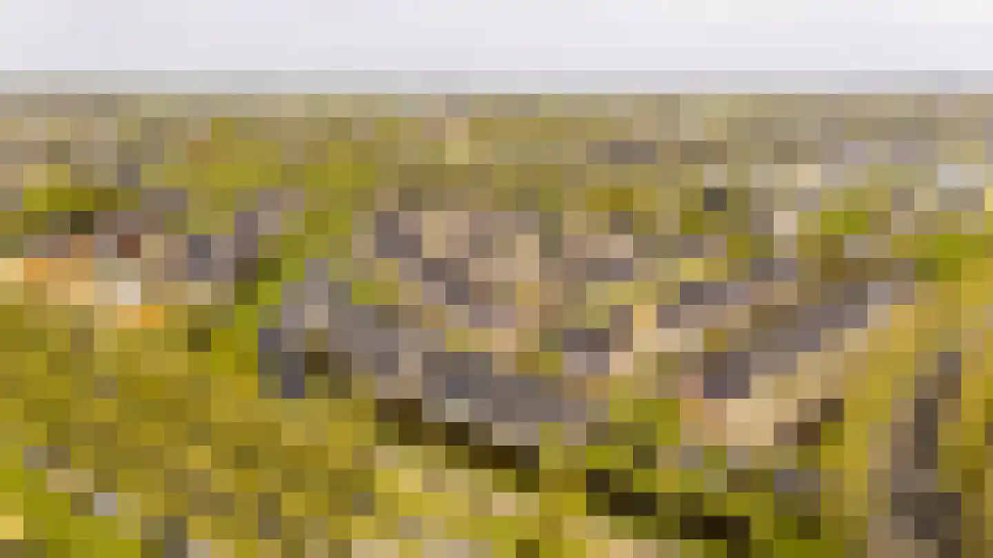 Bennekomseberg 3 Amersfoort thumbnail 37