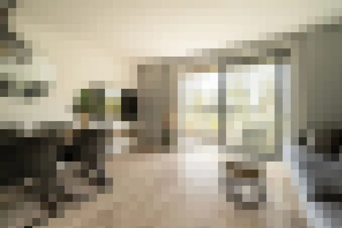 Bennekomseberg 3 Amersfoort thumbnail 8