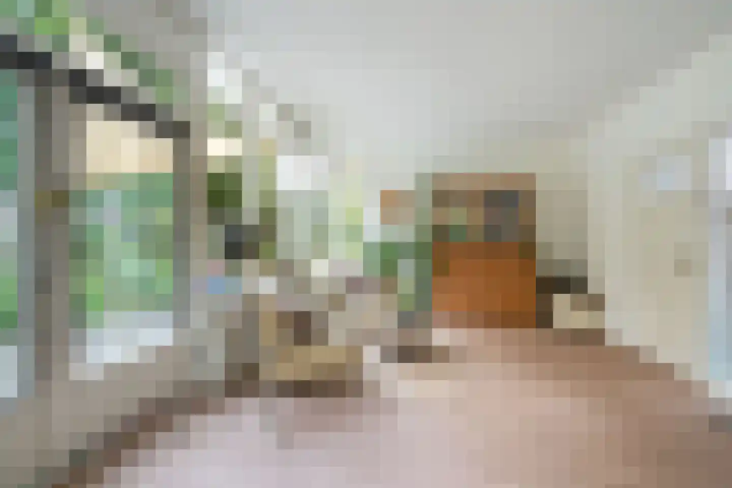 Bennekomseweg 147 Renkum thumbnail 20
