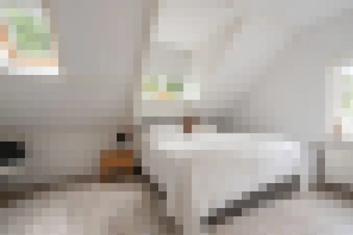 Bennekomseweg 147 Renkum thumbnail 27