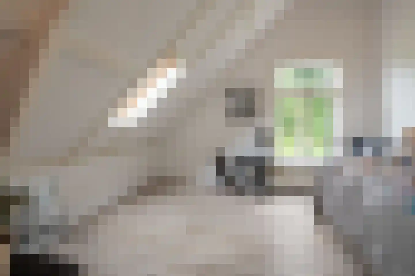 Bennekomseweg 147 Renkum thumbnail 28