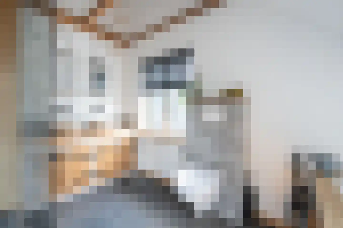 Bennekomseweg 147 Renkum thumbnail 30