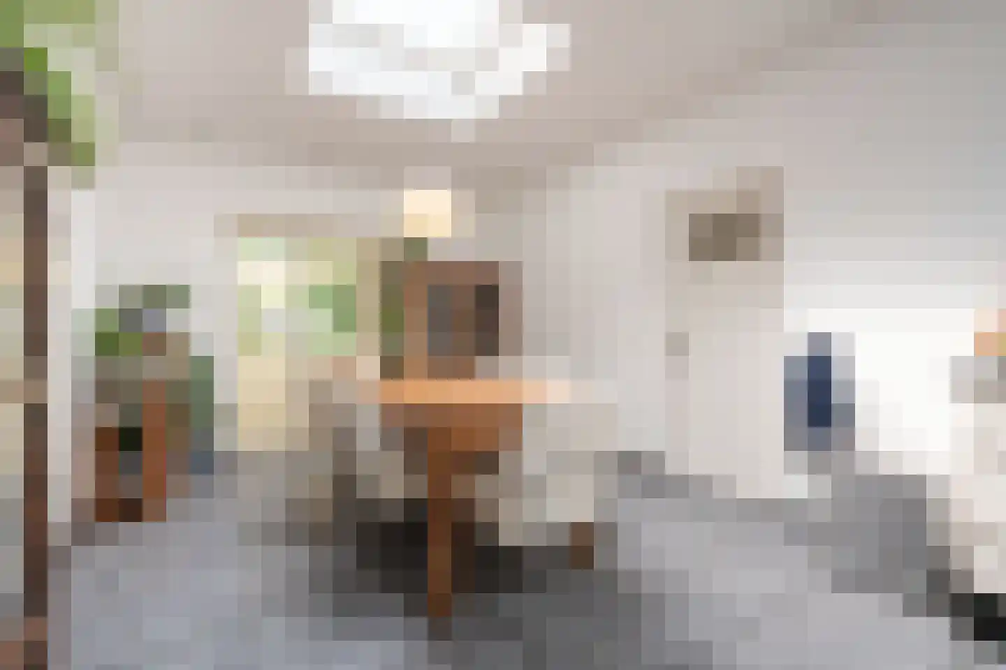 Bennekomseweg 147 Renkum thumbnail 32