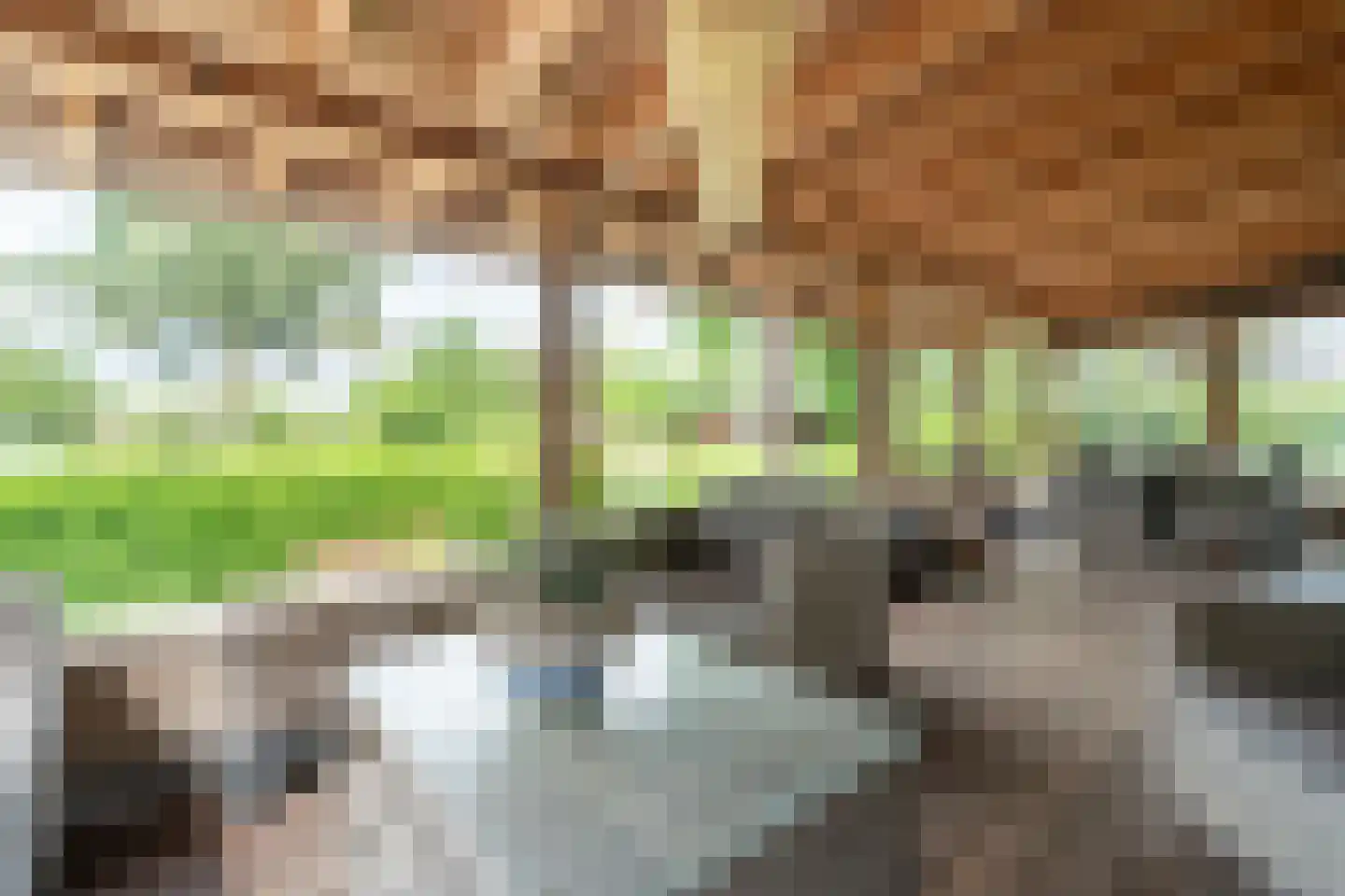 Bennekomseweg 147 Renkum thumbnail 45