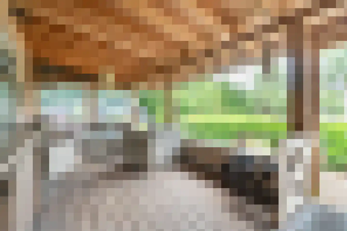 Bennekomseweg 147 Renkum thumbnail 46