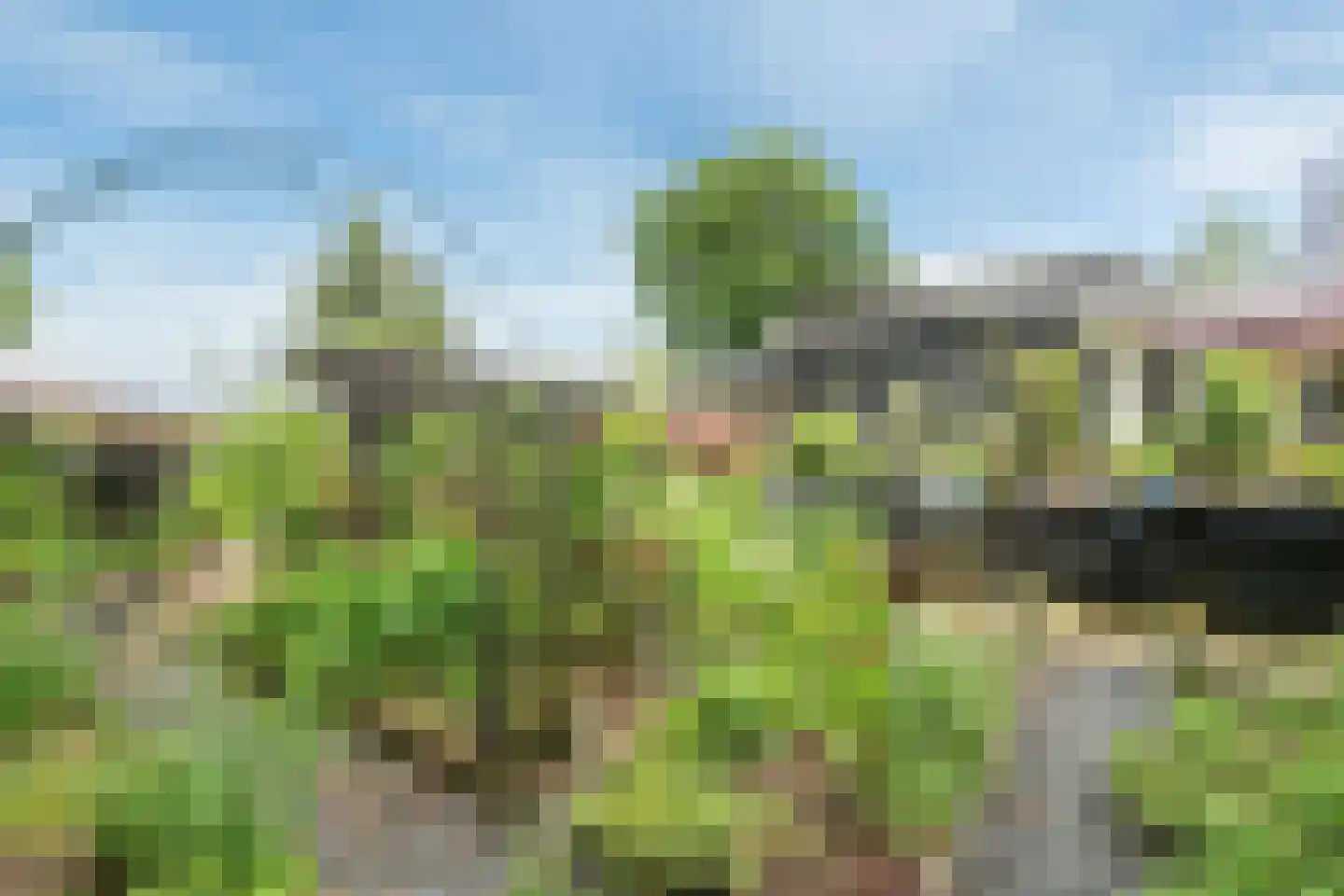 Bennekomseweg 147 Renkum thumbnail 50