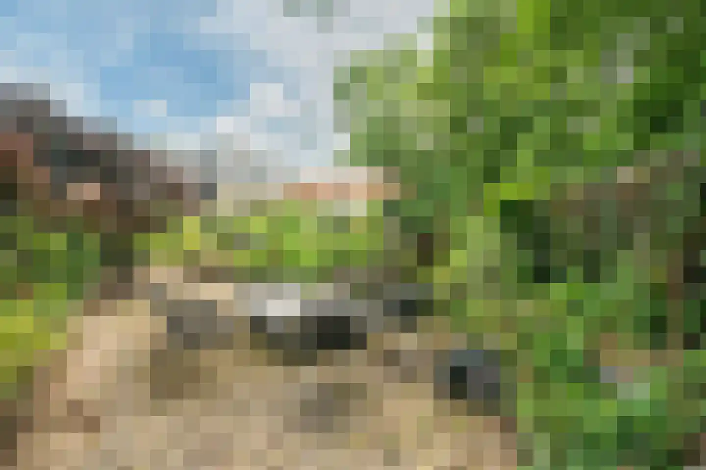 Bennekomseweg 147 Renkum thumbnail 51