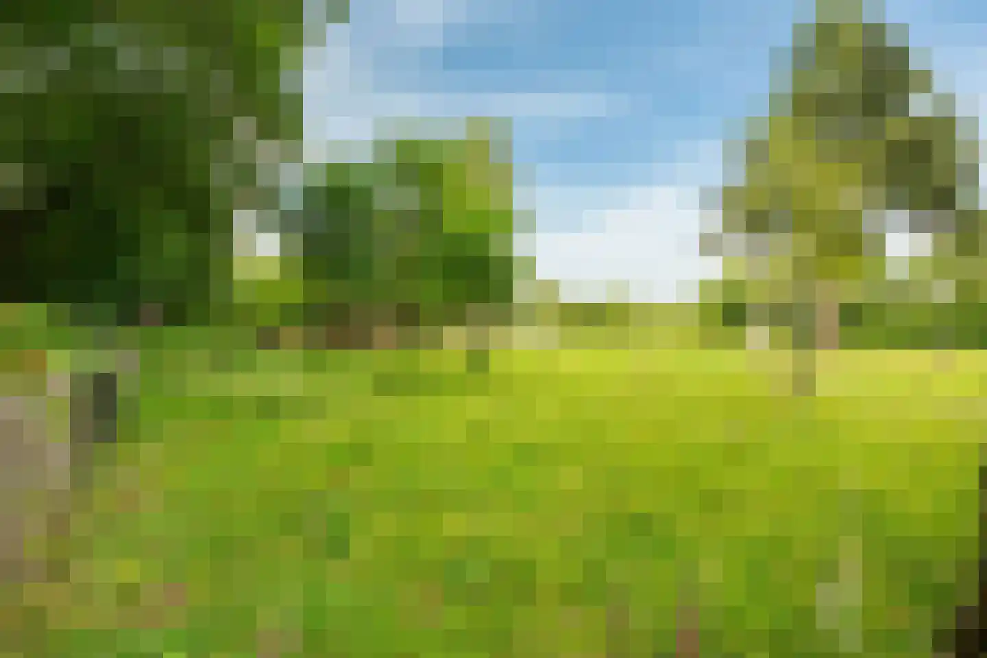 Bennekomseweg 147 Renkum thumbnail 58