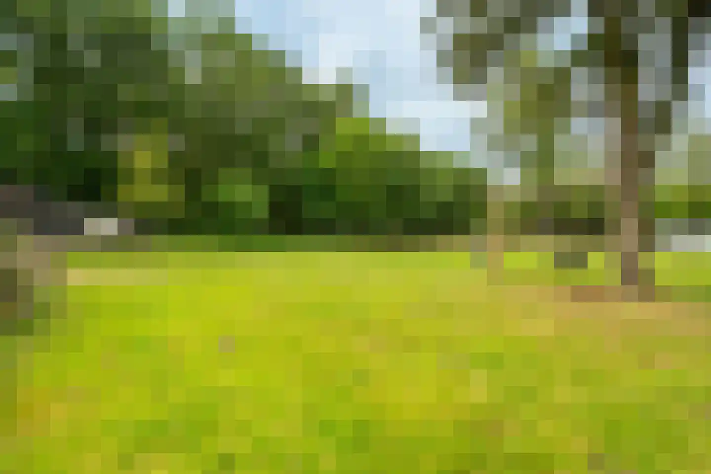 Bennekomseweg 147 Renkum thumbnail 59