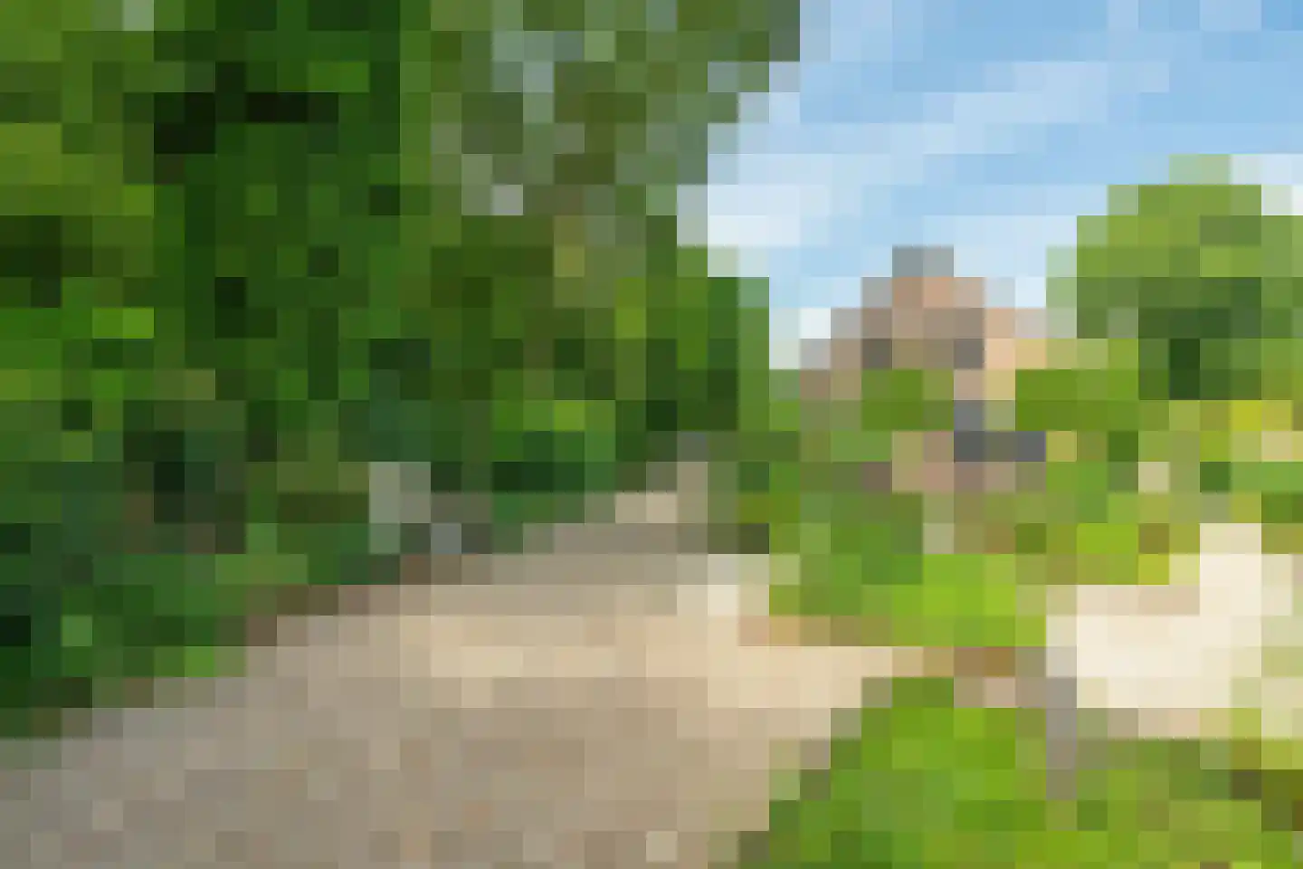Bennekomseweg 147 Renkum thumbnail 6