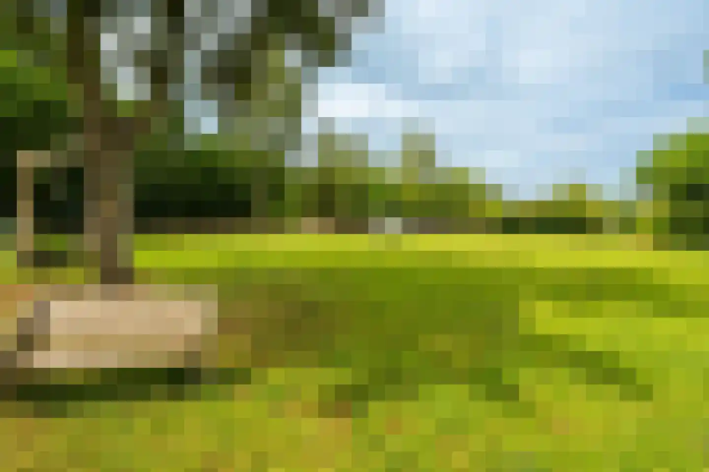 Bennekomseweg 147 Renkum thumbnail 60